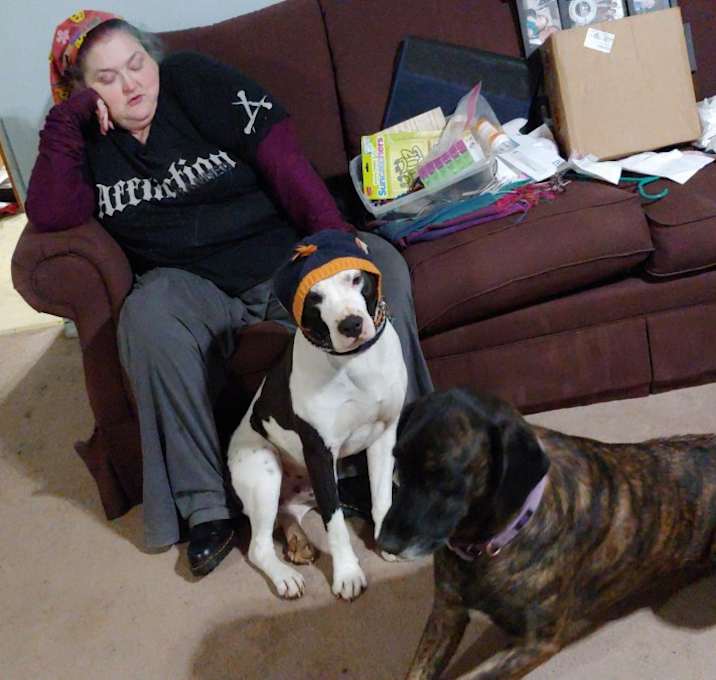 Photo of Xeno (Morphie)