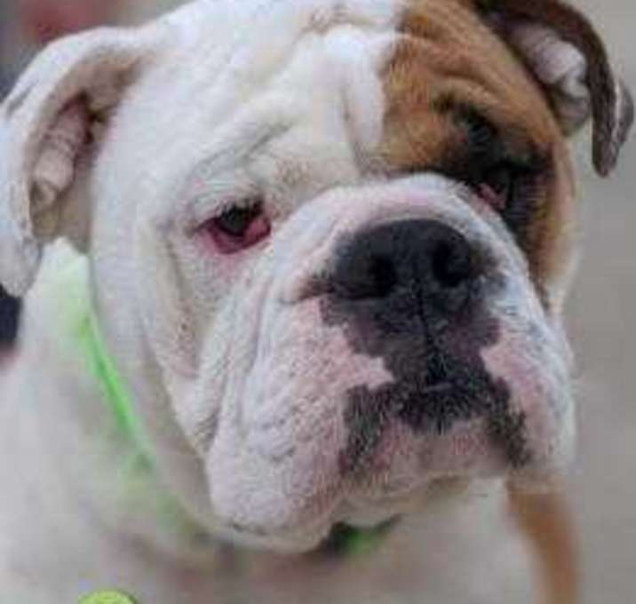 Photo of 12883 Cooper