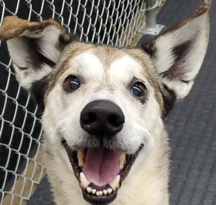 Photo of Bristol - NO LONGER TAKING APPLICATIONS!