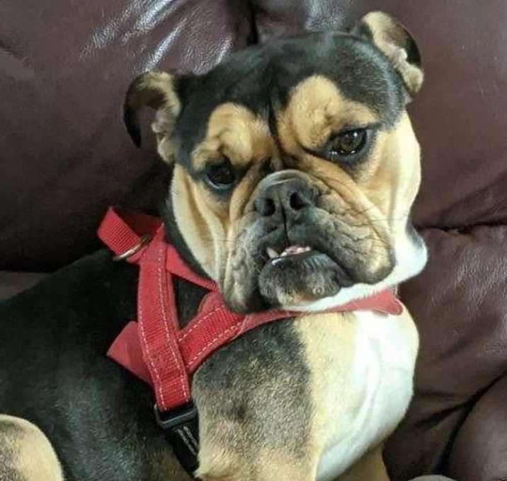 Photo of Miss Peepers