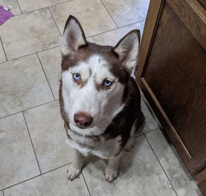 Photo of Kairi (Ky-ree)