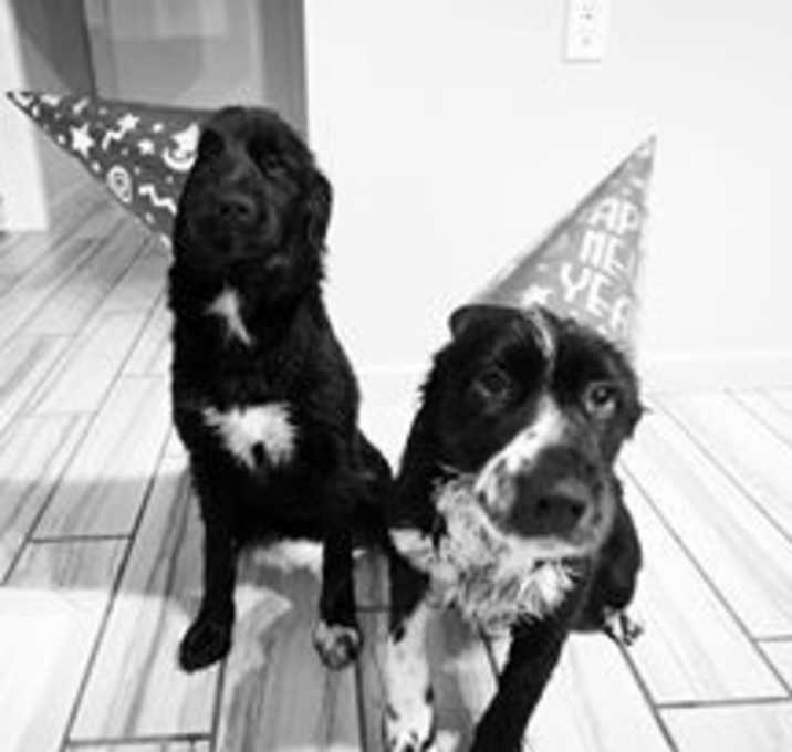 Photo of Alice and Oreo