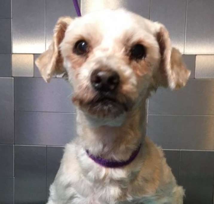 Photo of Bubba SDR in TX