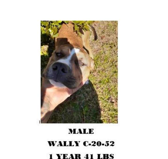 Photo of WALLY C-19-52