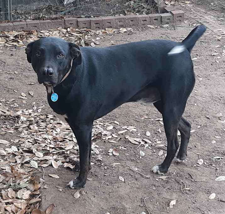 Photo of Ferris in TEXAS