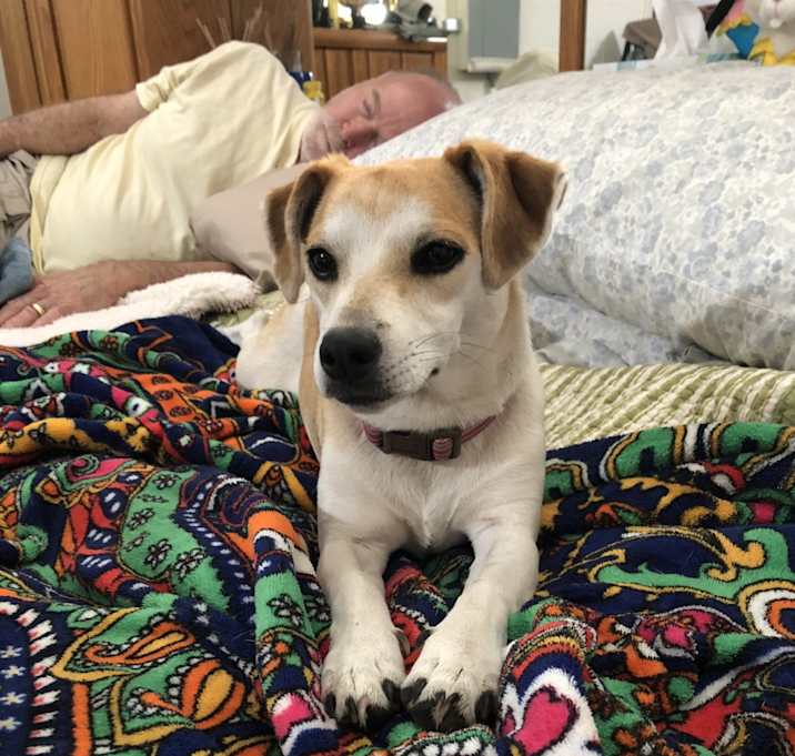 Photo of Mindy and Molly