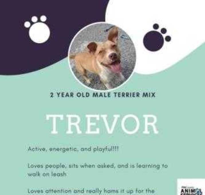Photo of Trevor