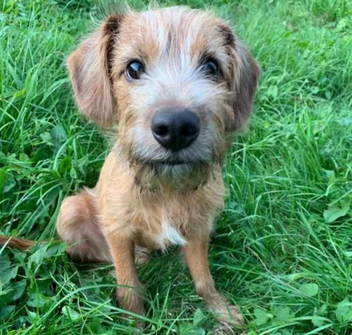 Photo of COREY TAYLOR