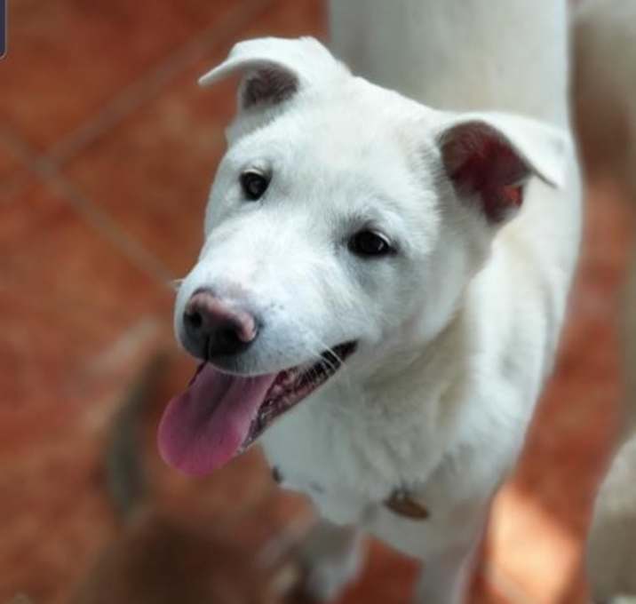 Photo of MR. DOCTOR MAN