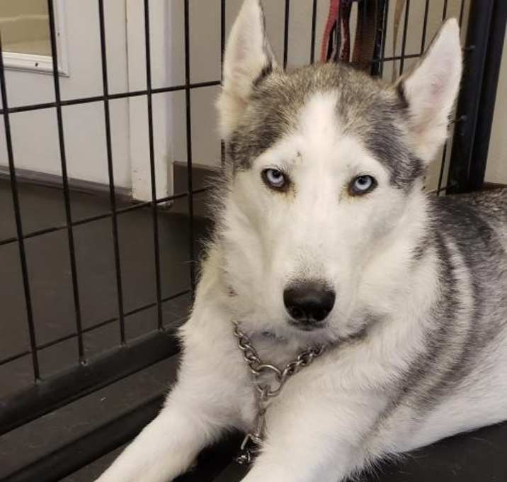 Photo of NANNA HILMARSDOTTIR