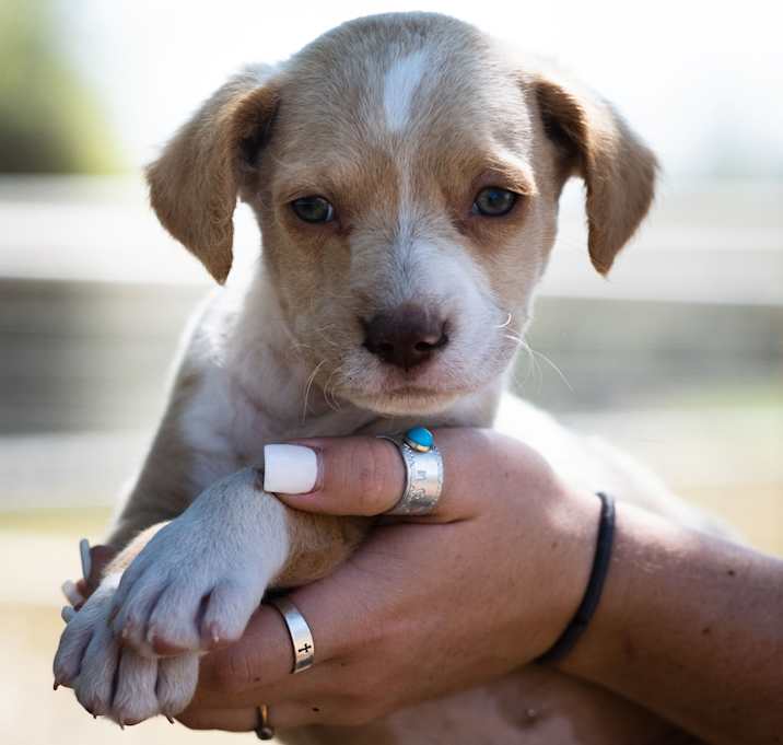 Photo of Eli - 7 Wonders