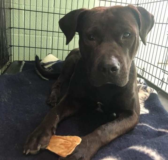 Photo of Ace Ventura