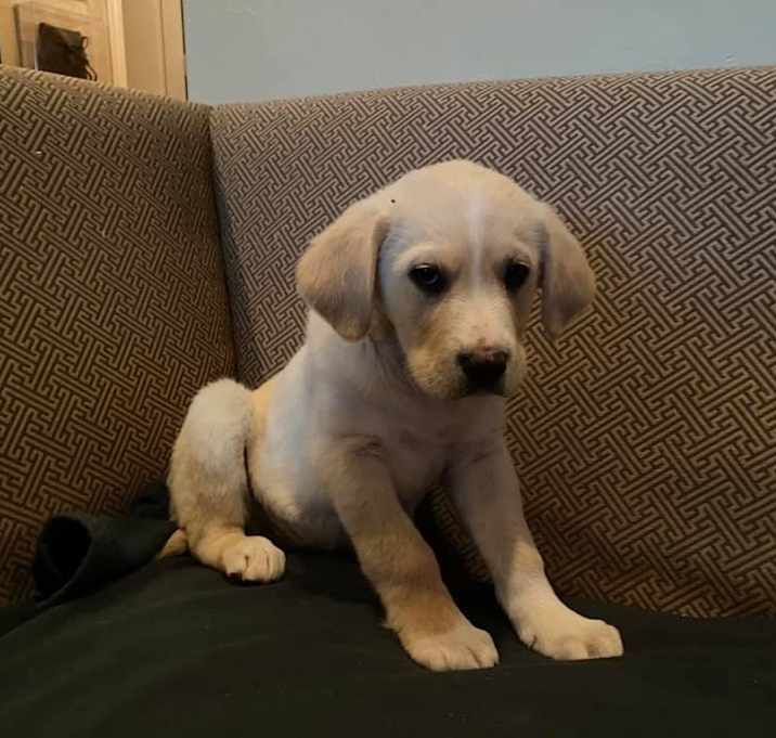 Photo of Stratus Cloud