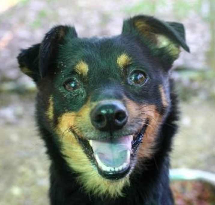 Photo of Johnson Foster in New Canaan!