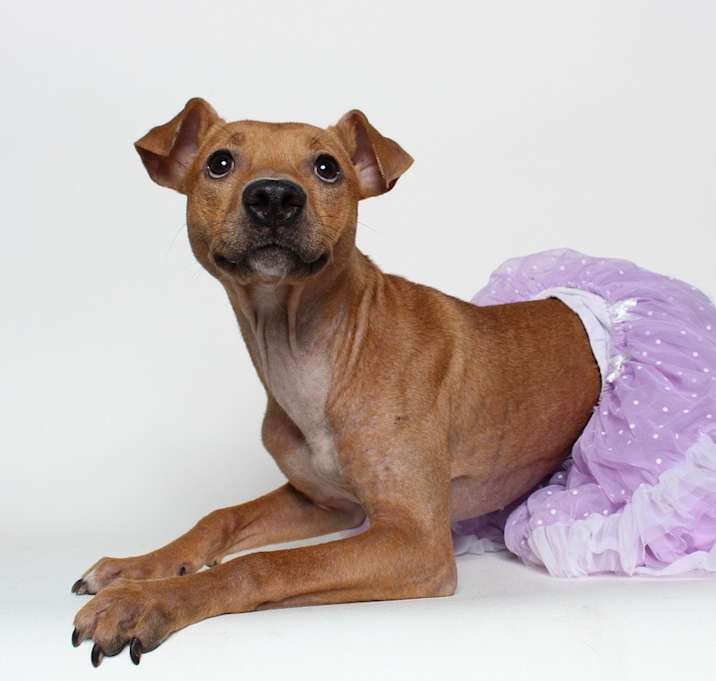 Photo of MURIEL A1855411