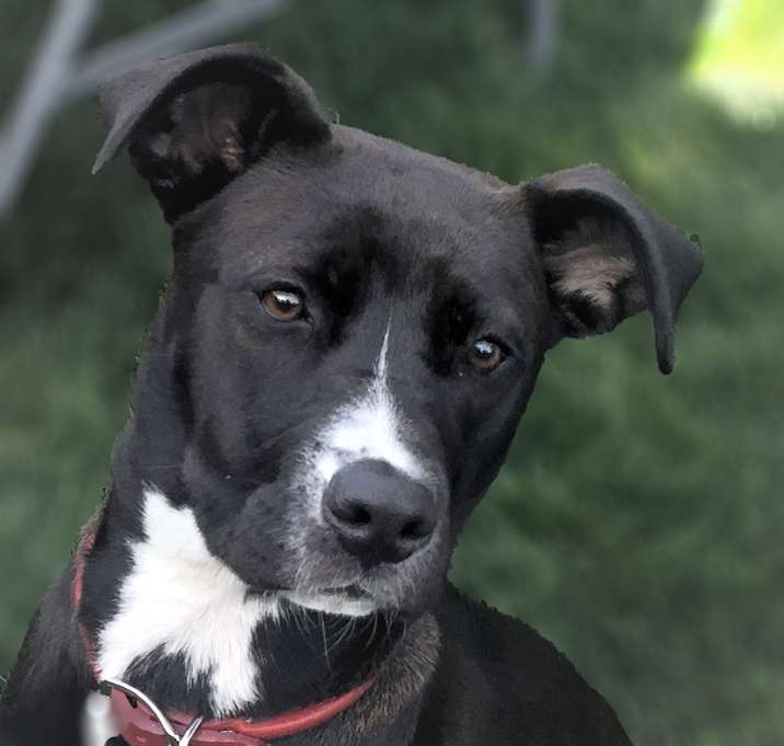 Photo of Zoe–Adorable–See my video!