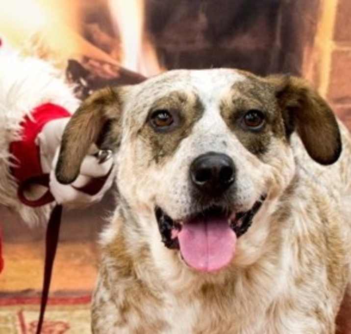 Photo of Shannon–Sweetie–See my video!