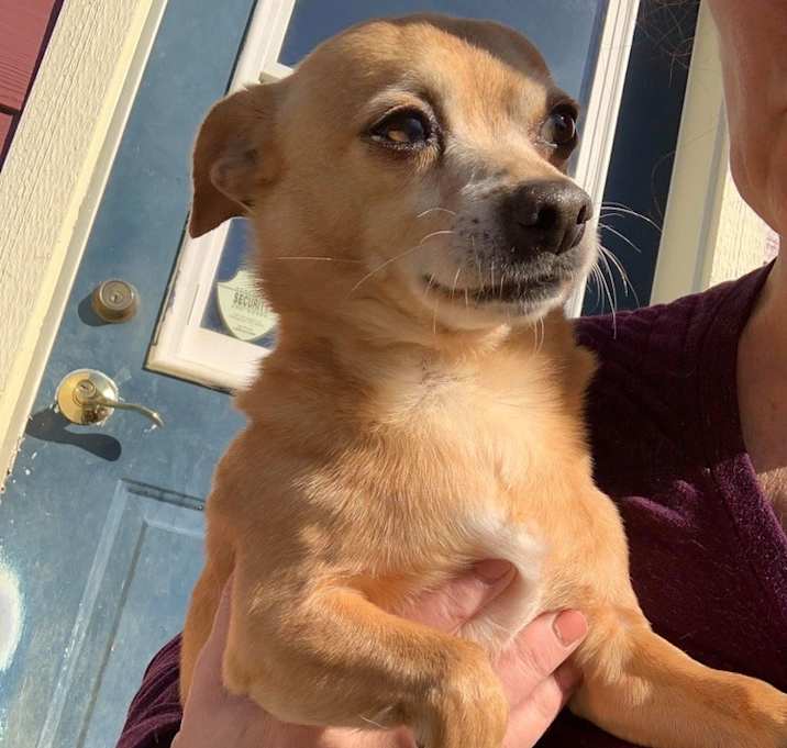 Photo of Little Bear