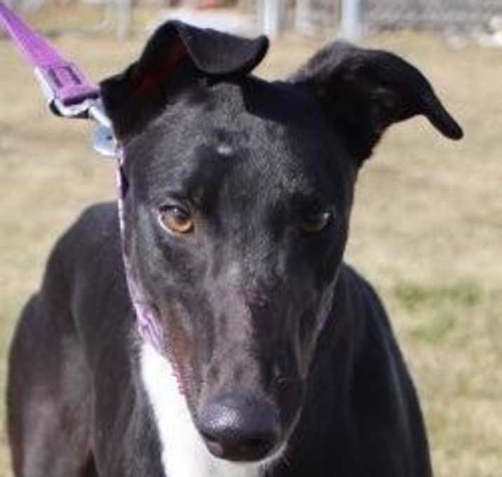 Photo of AJN Lotsofpower (Power)