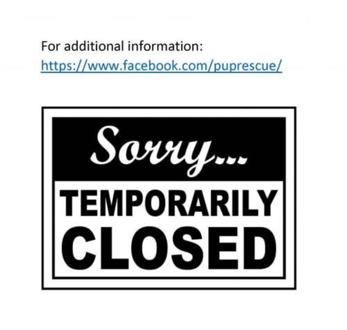 Photo of Coronavirus (COVID-19)