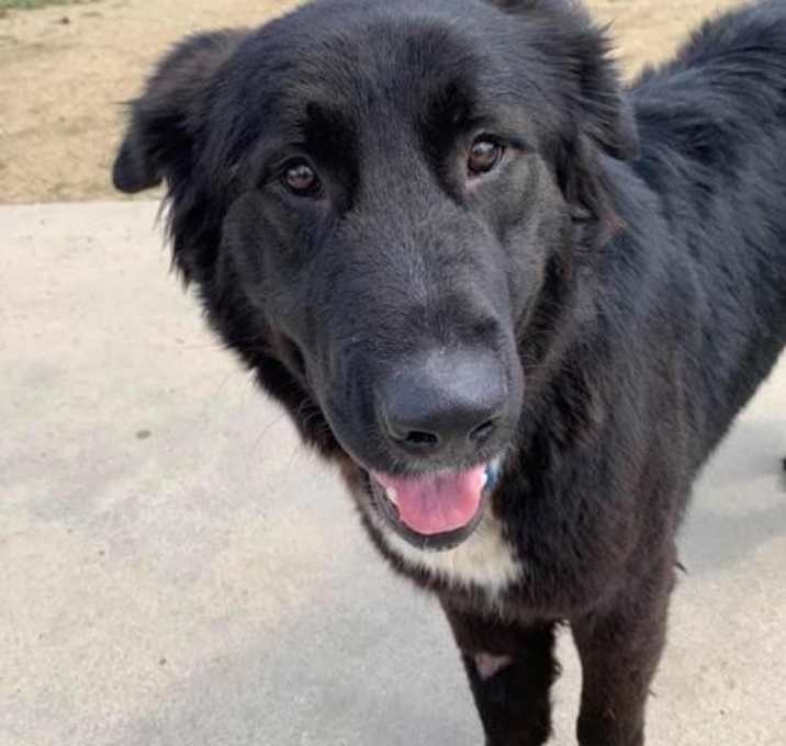 Photo of Zachary - Adopted!