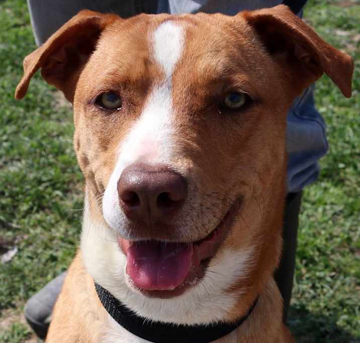 Photo of Rhiannon JuM