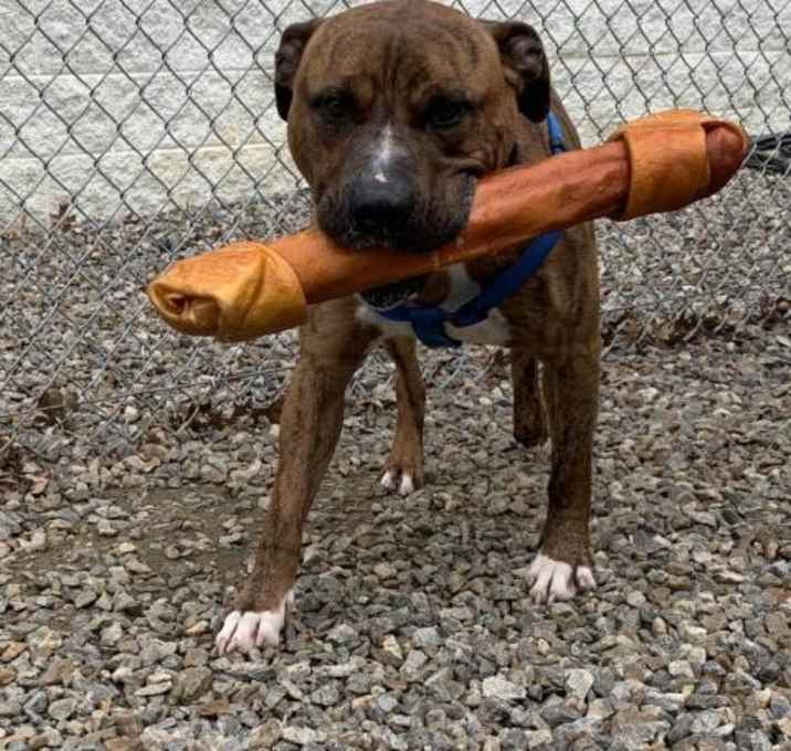 Photo of Count Barkula