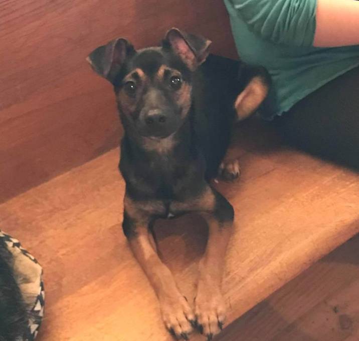 Photo of Salem (Has Application)