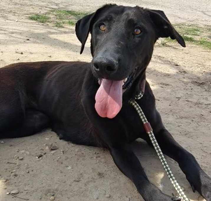 Photo of Mama Theresa JuM