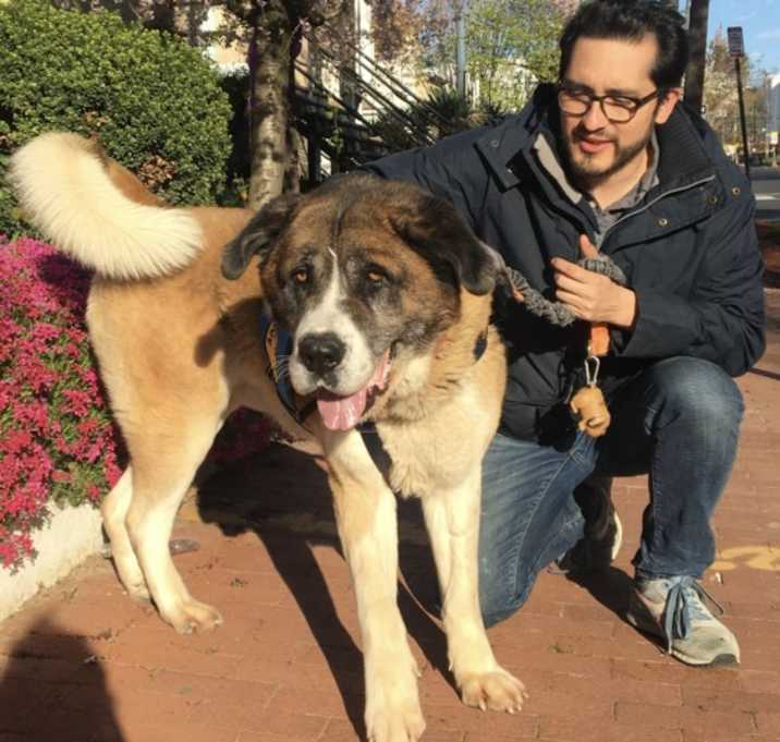 Photo of Max (Has Application)