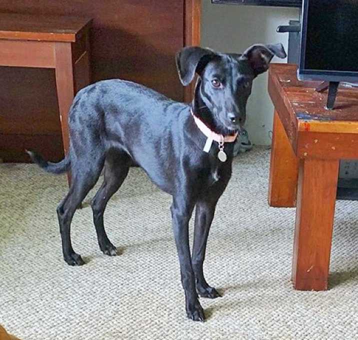 Photo of Promise (was Woahnelly)