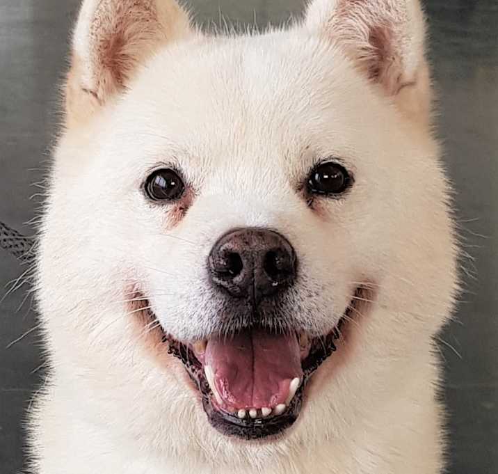 Photo of JAGGER (S.Korea)