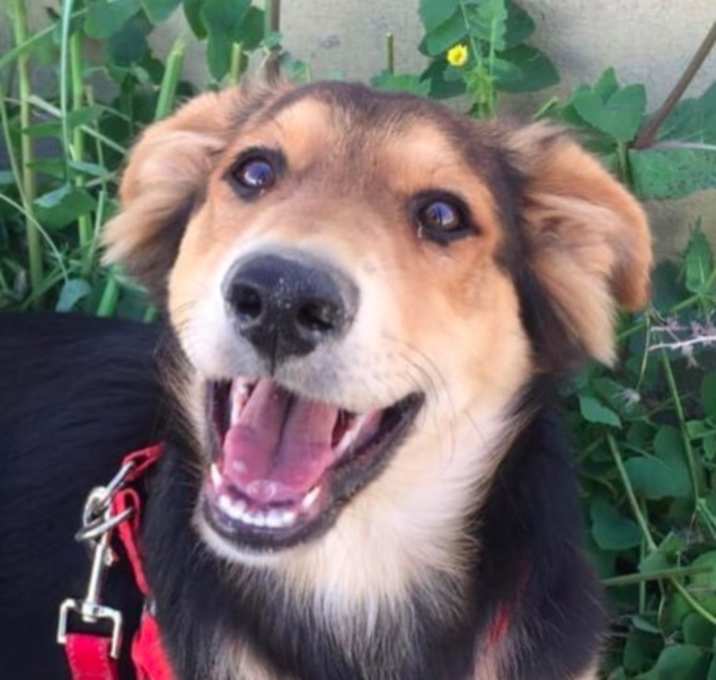 Photo of KOBEY (Bahrain)