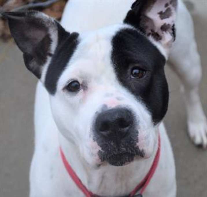 Photo of Mama (A091174)