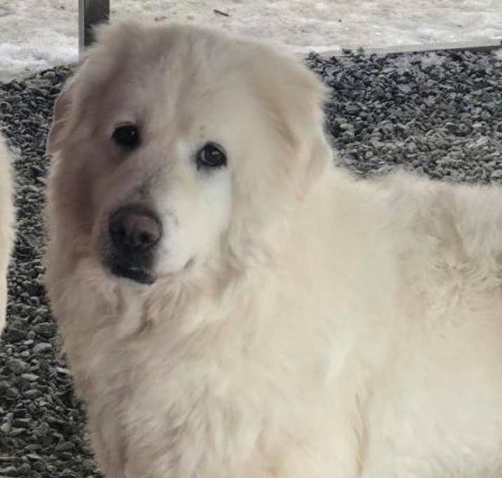 Photo of Robyn - in Eastern NY