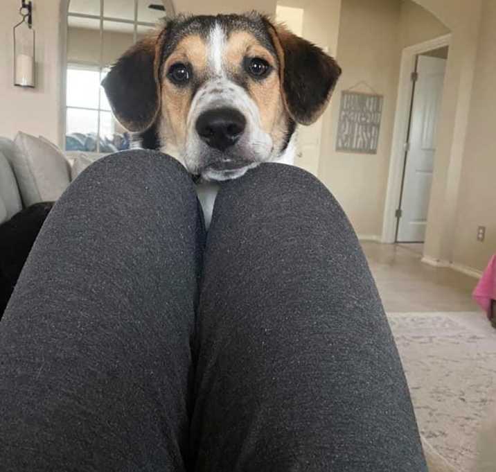 Photo of 19-153 Luka