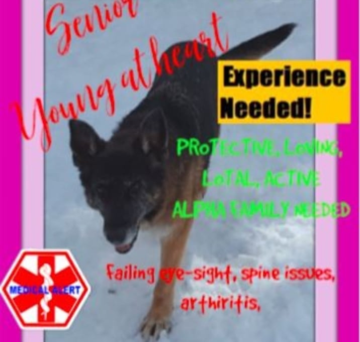 Photo of MARGIE-G-AR