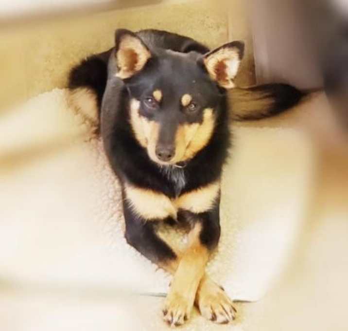 Photo of Boom Choco Latta