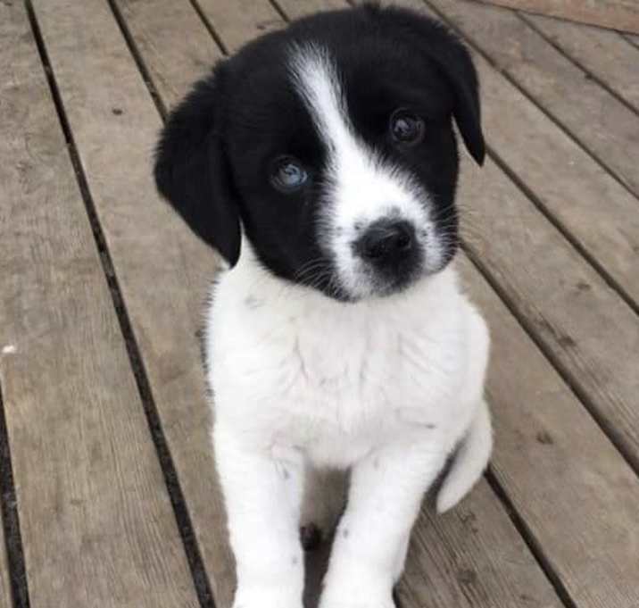 Photo of JERSEY. (formerly MAXX)