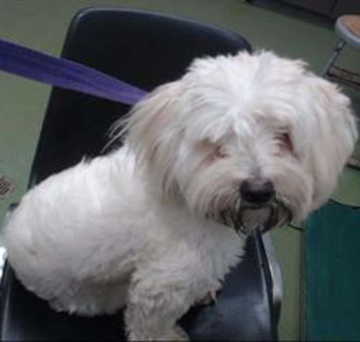 Photo of URGENT NOW @ DEVORE