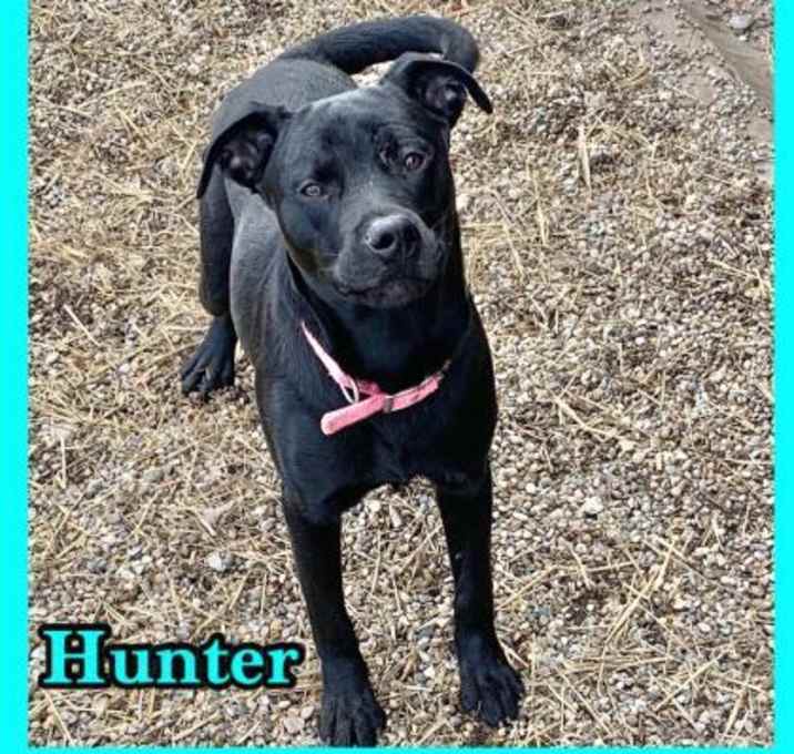 Photo of Hunter