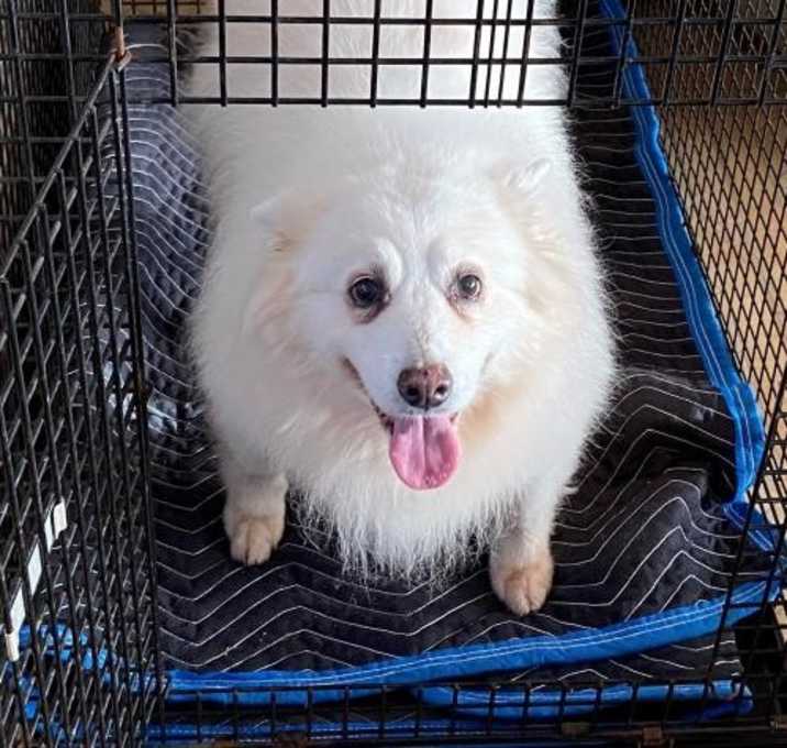 Photo of Dixie Chick