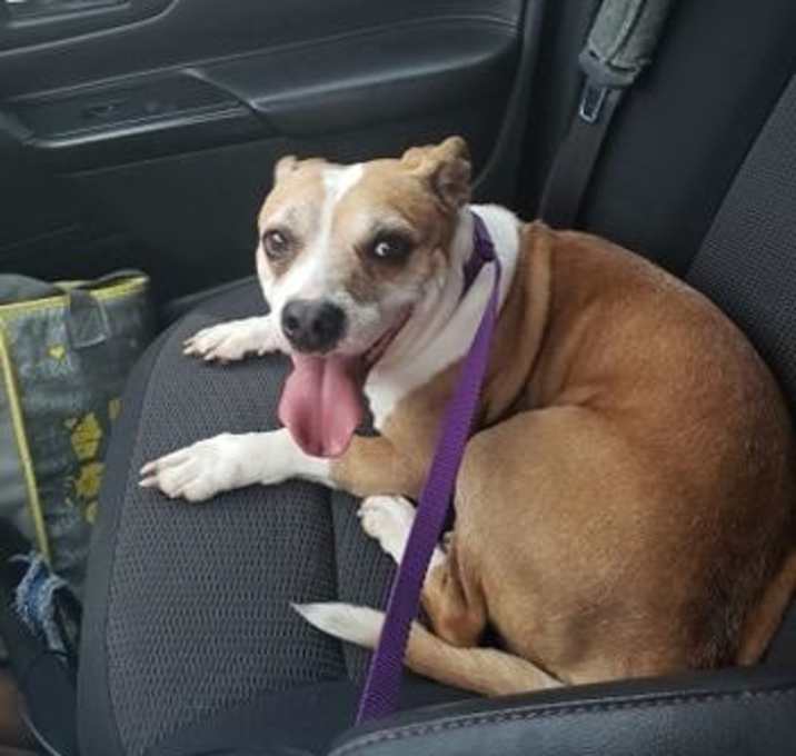 Photo of LIMP BIZKIT