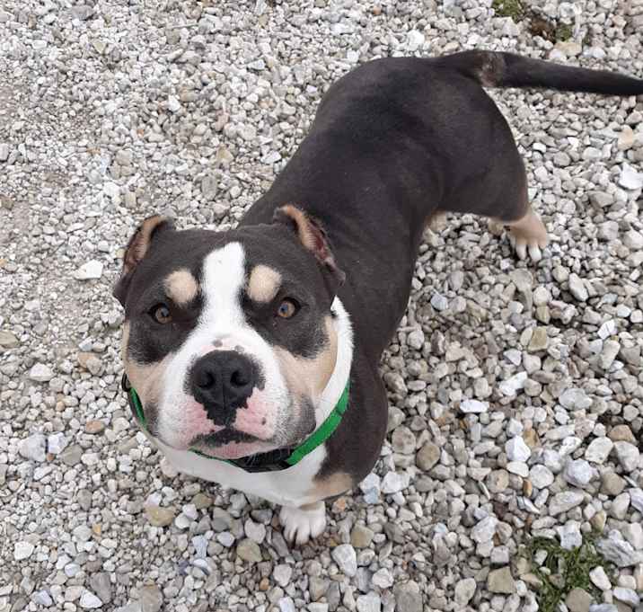 Photo of Little Mama