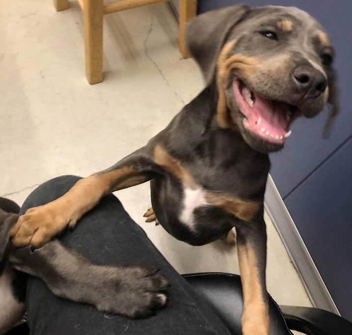 Photo of Victoria - no longer accepting applications