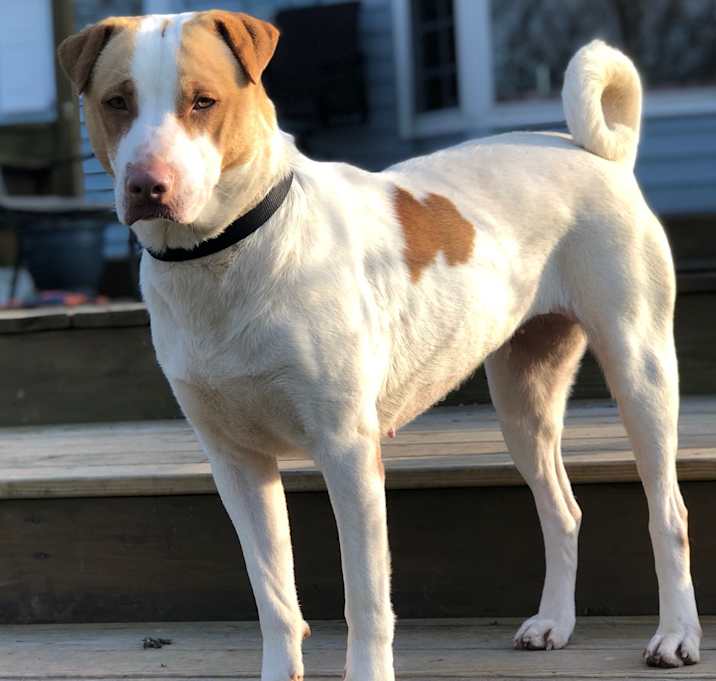 Photo of SHERRY 'CHERRY' VALANCE