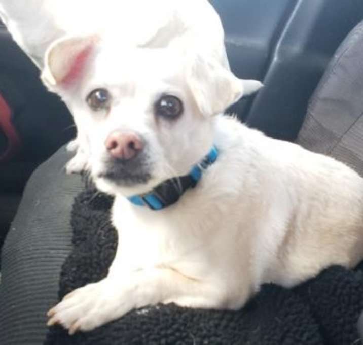 Photo of Stretch and Jackie AKA Kidd and Sundance