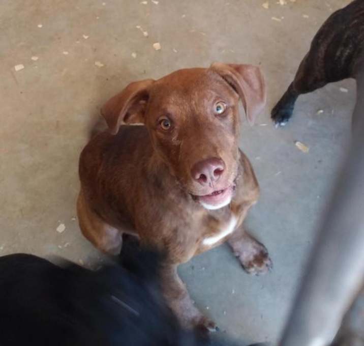 Photo of Maverick JC