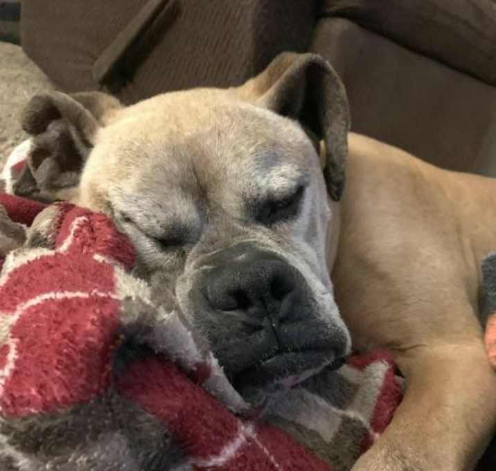 Photo of George *NEW*