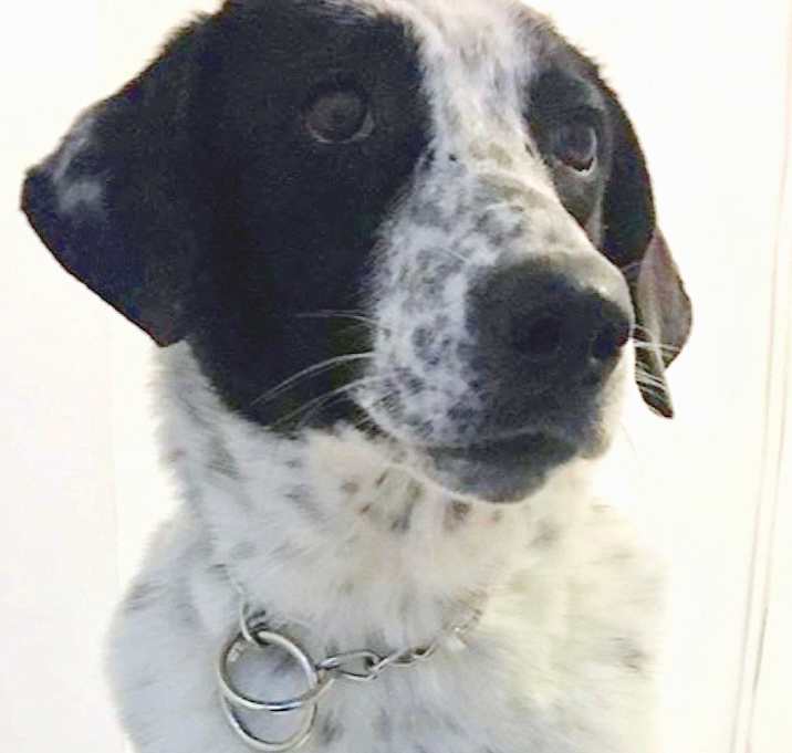 Photo of SUNSHINE  (tripaw)